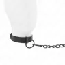 D-240807 KINK COLLAR & GAG