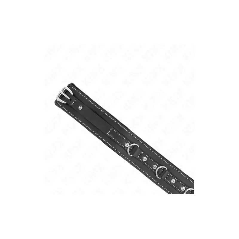 D-240758 KINK COLLAR & GAG