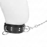 D-240808 KINK COLLAR & GAG