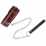 D-240766 KINK COLLAR & GAG