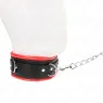 D-240767 KINK COLLAR & GAG