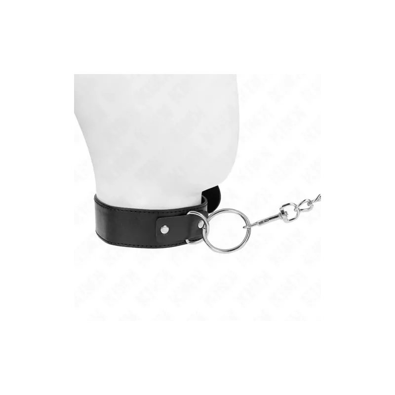 D-240812 KINK COLLAR & GAG