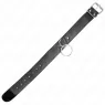 D-240812 KINK COLLAR & GAG