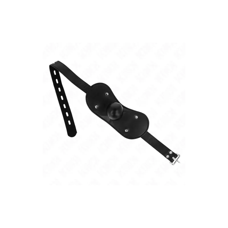 D-240826 KINK COLLAR & GAG