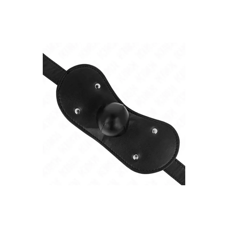 D-240826 KINK COLLAR & GAG