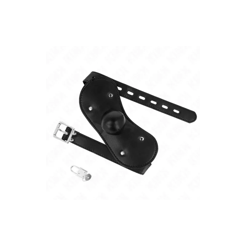 D-240826 KINK COLLAR & GAG