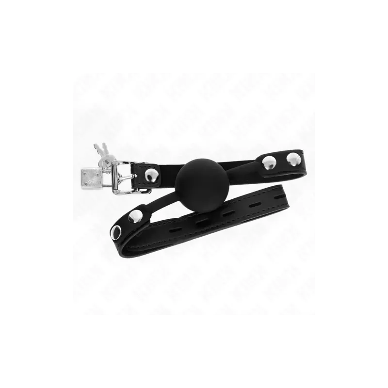 D-240881 KINK COLLAR & GAG
