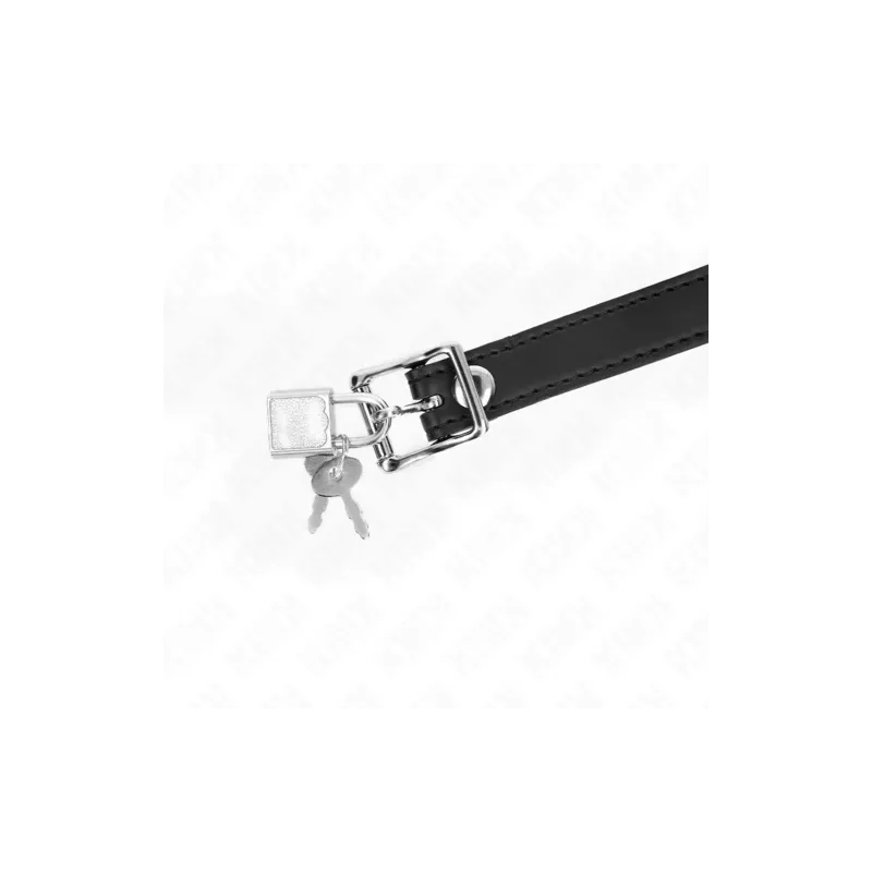 D-240881 KINK COLLAR & GAG
