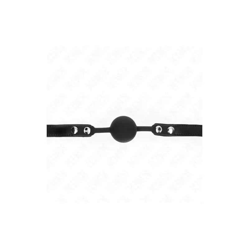 D-240881 KINK COLLAR & GAG