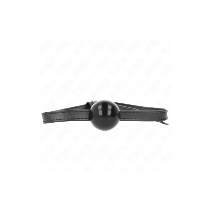 D-240859 KINK COLLAR & GAG