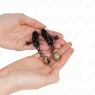 D-240982 KINK NIPPLE GRIP