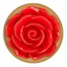 D-242588 KINK PLEASURE PLUGS