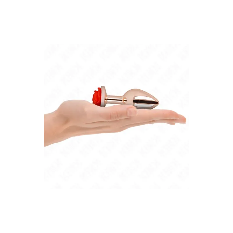D-242589 KINK PLEASURE PLUGS