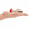 D-242589 KINK PLEASURE PLUGS