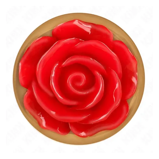 D-242589 KINK PLEASURE PLUGS