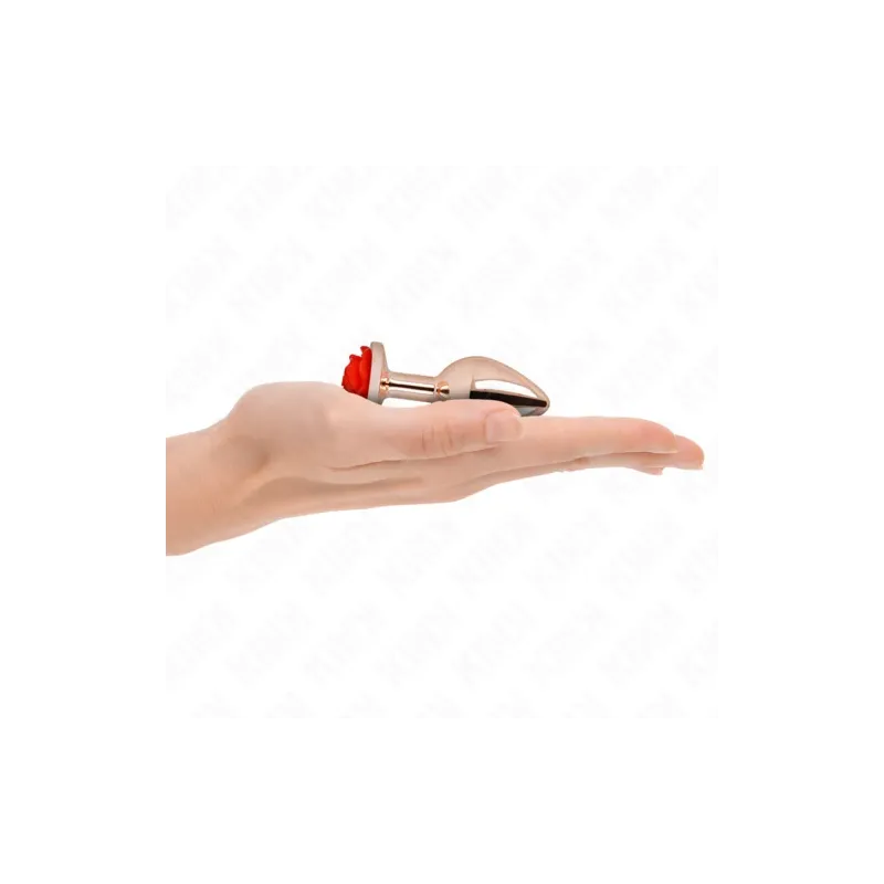 D-242590 KINK PLEASURE PLUGS
