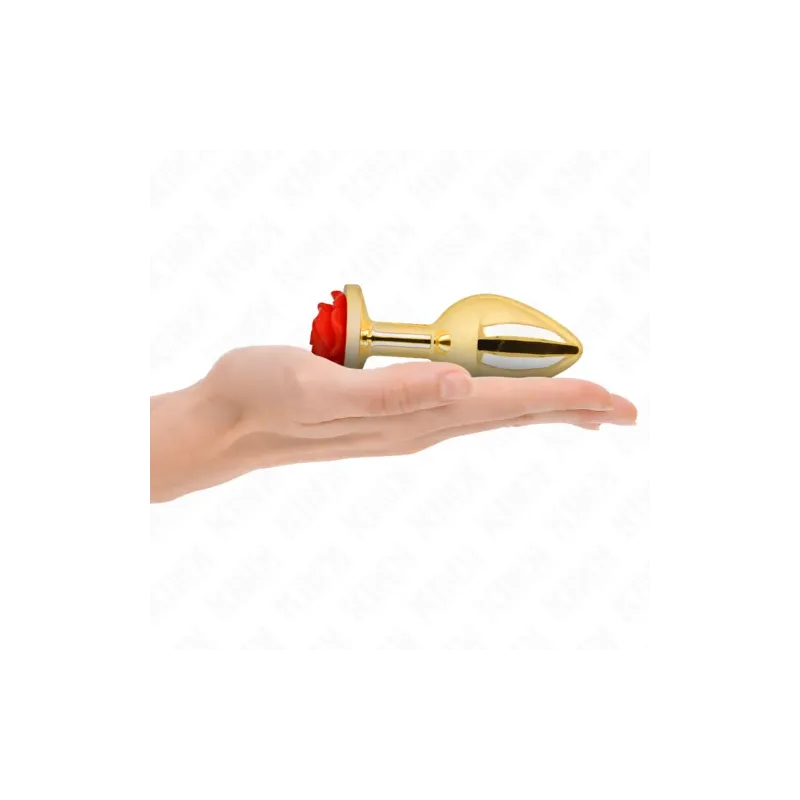 D-242591 KINK PLEASURE PLUGS