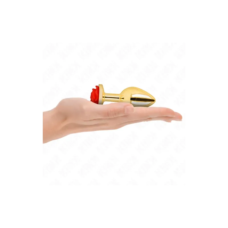 D-242592 KINK PLEASURE PLUGS
