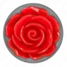 D-242596 KINK PLEASURE PLUGS