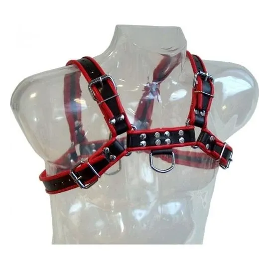 D-208611 LEATHER BODY