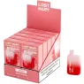 D-242692.PACK LOST MARY