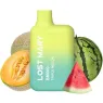 D-242682.PACK LOST MARY