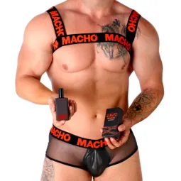 D-239950 MACHO UNDERWEAR