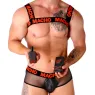 D-239950 MACHO UNDERWEAR