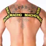 D-236851 MACHO UNDERWEAR