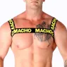 D-236851 MACHO UNDERWEAR