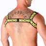 D-236851 MACHO UNDERWEAR