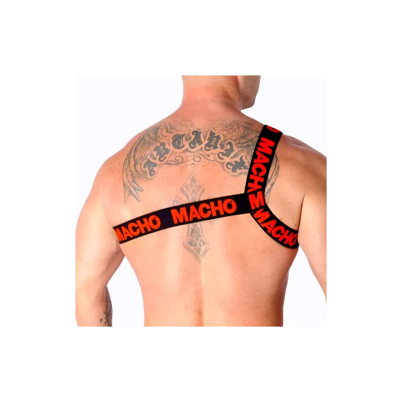 D-239969 MACHO UNDERWEAR