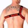 D-239969 MACHO UNDERWEAR