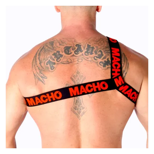 D-239969 MACHO UNDERWEAR