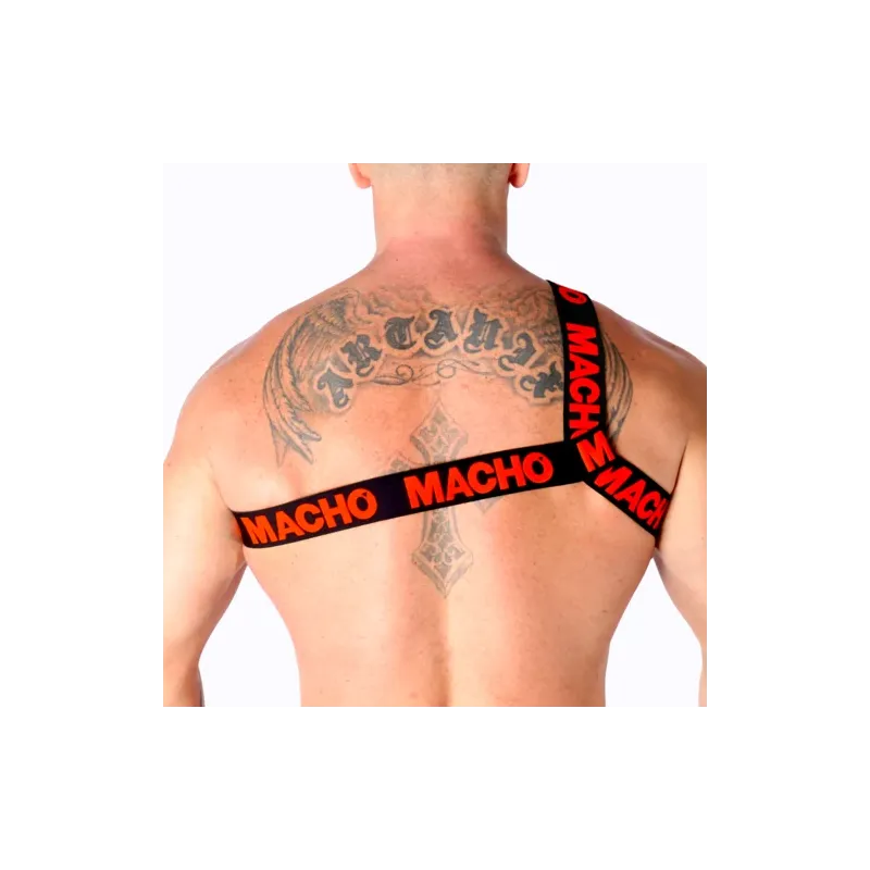 D-239969 MACHO UNDERWEAR