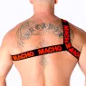 D-239969 MACHO UNDERWEAR