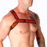 D-239969 MACHO UNDERWEAR