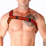 D-239969 MACHO UNDERWEAR