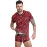 D-234182 ANAIS MEN ACCESORIES