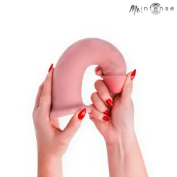 D-245080 MR. INTENSE DILDOS