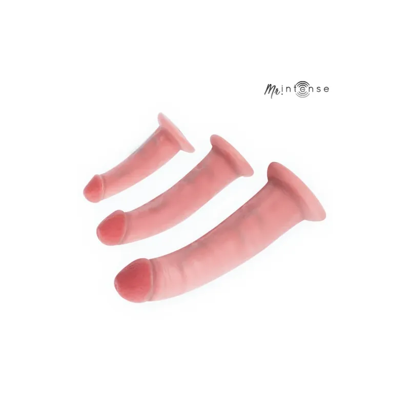 D-245080 MR. INTENSE DILDOS