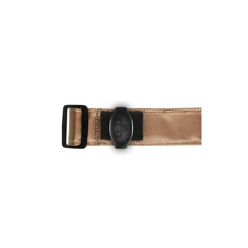 D-231927 MYTHOLOGY FANTASY HARNESS