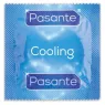 D-225582 PASANTE