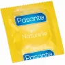 D-236444 PASANTE