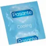 D-236437 PASANTE