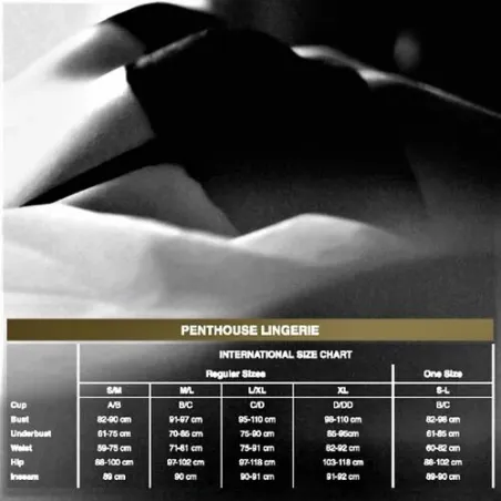 D-231696 PENTHOUSE TEDDY