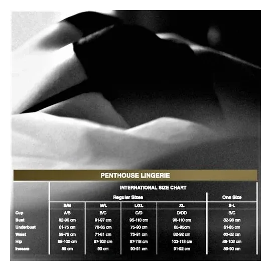 D-231697 PENTHOUSE TEDDY