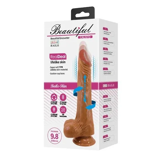 D-242893 BAILE VIBRATORS