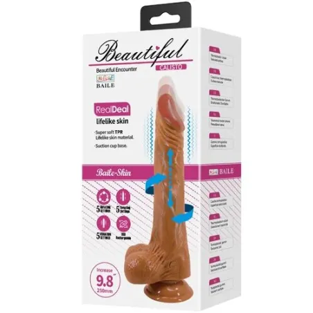 D-242893 BAILE VIBRATORS
