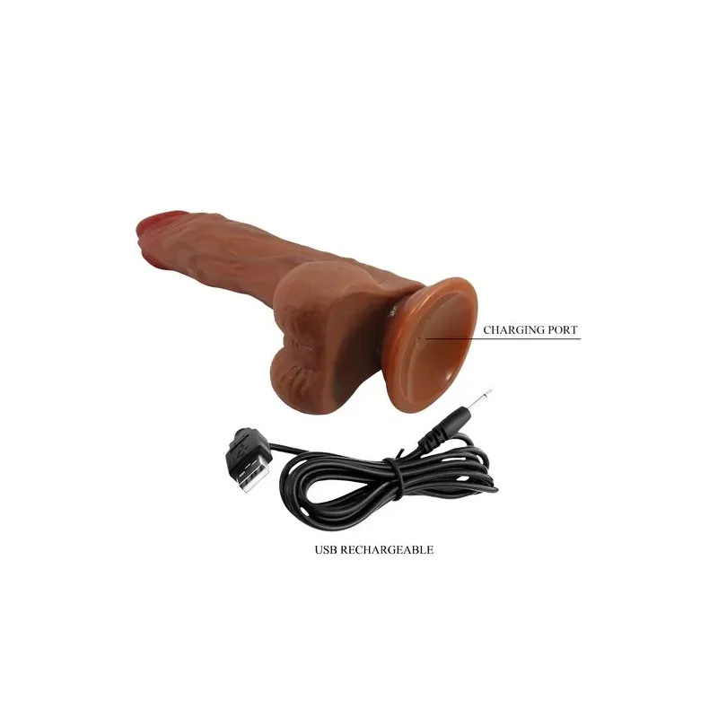 D-242893 BAILE VIBRATORS